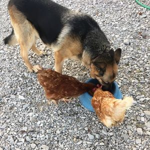 Meet your Posher, Karen